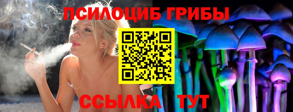 Галлюциногенные грибы Magic Shrooms  Вход с VPN  Кохма  Псилоцибиновые грибы ЛСД 
