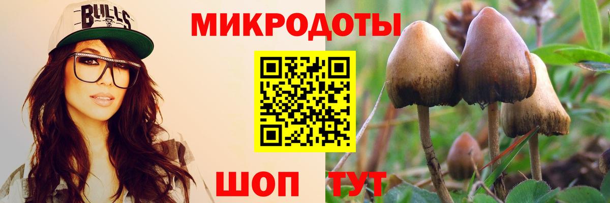 Галлюциногенные грибы MAGIC MUSHROOMS Кохма